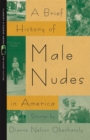 A Brief History of Male Nudes in America : Stories - eBook