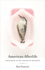 American Afterlife : Encounters in the Customs of Mourning - Book