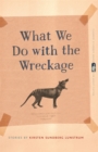 What We Do with the Wreckage : Stories - eBook