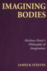 Imagining Bodies : Merleau-Ponty's Philosophy of Imagination - Book