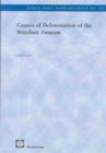 Causes of Deforestation of the Brazilian Amazon - Book