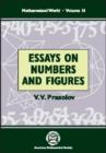 Essays on Numbers and Figures - Book