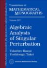 Algebraic Analysis of Singular Perturbation - Book