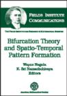 Bifurcation Theory and Spatio-temporal Pattern Formation - Book