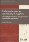 An Introduction to the History of Algebra : Solving Equations from Mesopotamian Times to the Renaissance - Book