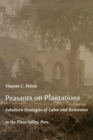 Peasants on Plantations : Subaltern Strategies of Labor and Resistance in the Pisco Valley, Peru - Book