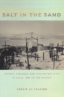 Salt in the Sand : Memory, Violence, and the Nation-State in Chile, 1890 to the Present - Book