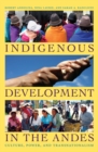 Indigenous Development in the Andes : Culture, Power, and Transnationalism - Book