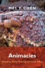 Animacies : Biopolitics, Racial Mattering, and Queer Affect - Book