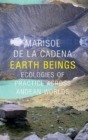Earth Beings : Ecologies of Practice Across Andean Worlds - Book