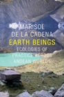 Earth Beings : Ecologies of Practice across Andean Worlds - Book