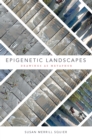 Epigenetic Landscapes : Drawings as Metaphor - eBook