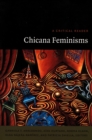 Chicana Feminisms : A Critical Reader - eBook