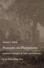 Peasants on Plantations : Subaltern Strategies of Labor and Resistance in the Pisco Valley, Peru - eBook