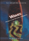 Waves : Principles of Light, Electricity, and Magnetism - eBook