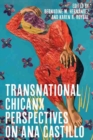 Transnational Chicanx Perspectives on Ana Castillo - Book