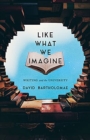 Like What We Imagine : Essays on Writing and Teaching - Book