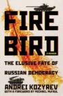 The Firebird : The Elusive Fate of Russian Democracy - Book