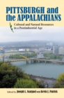 Pittsburgh and the Appalachians : Cultural and Natural Resources in a Postindustrial Age - eBook