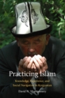 Practicing Islam : Knowledge, Experience, and Social Navigation in Kyrgyzstan - eBook