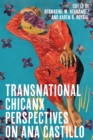 Transnational Chicanx Perspectives on Ana Castillo - eBook