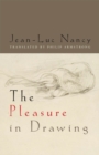 The Pleasure in Drawing - Book