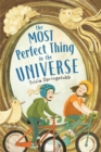 Most Perfect Thing in the Universe - eBook