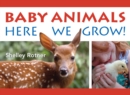 Baby Animals! : Here We Grow - Book