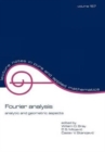 Fourier Analysis : Analytic and Geometric Aspects - Book