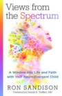 Views from the Spectrum - A Window into Life and Faith with Your Neurodivergent Child - Book