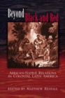 Beyond Black and Red : African-Native Relations in Colonial Latin America - Book