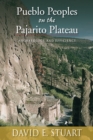Pueblo Peoples on the Pajarito Plateau : Archaeology and Efficiency - eBook