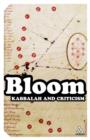 Kabbalah and Criticism - Book