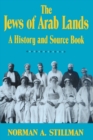 The Jews of Arab Lands : A History and Source Book - Book