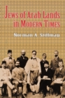 The Jews of Arab Lands in Modern Times - Book