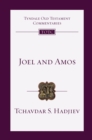 Joel and Amos : An Introduction and Commentary - eBook