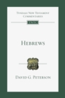 Hebrews : An Introduction and Commentary - eBook