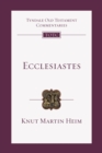 Ecclesiastes : An Introduction and Commentary - eBook