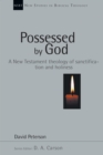 Possessed by God : A New Testament theology of sanctification and holiness - eBook