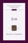 Job : An Introduction and Commentary - eBook