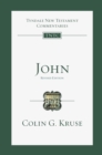John : An Introduction and Commentary - eBook