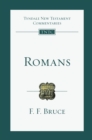Romans : An Introduction and Commentary - eBook