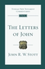 The Letters of John : An Introduction and Commentary - eBook