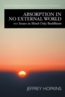 Absorption in No External World - eBook
