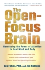 Open-Focus Brain - eBook