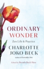 Ordinary Wonder - eBook