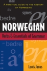 Norwegian Verbs And Essentials of Grammar - Book
