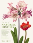The Art of Natural History : Botanical Illustrations, Ornithological Sketchbooks, and Other Masterpieces from the Age of Exploration - Book