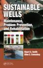 Sustainable Wells : Maintenance, Problem Prevention, and Rehabilitation - eBook