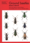 Ground beetles - Book